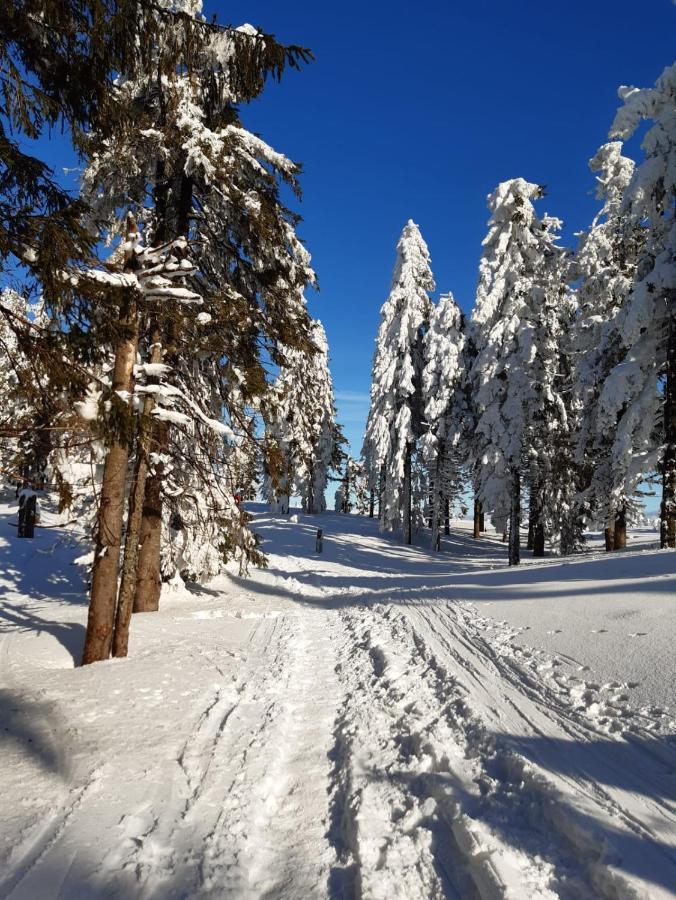 Chata Goralska Wojtasowka Kamesznica Exterior foto