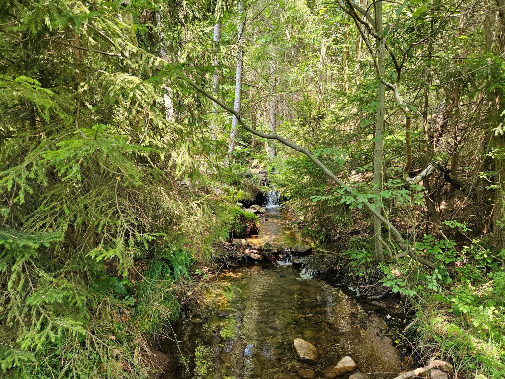 Chata Goralska Wojtasowka Kamesznica Exterior foto