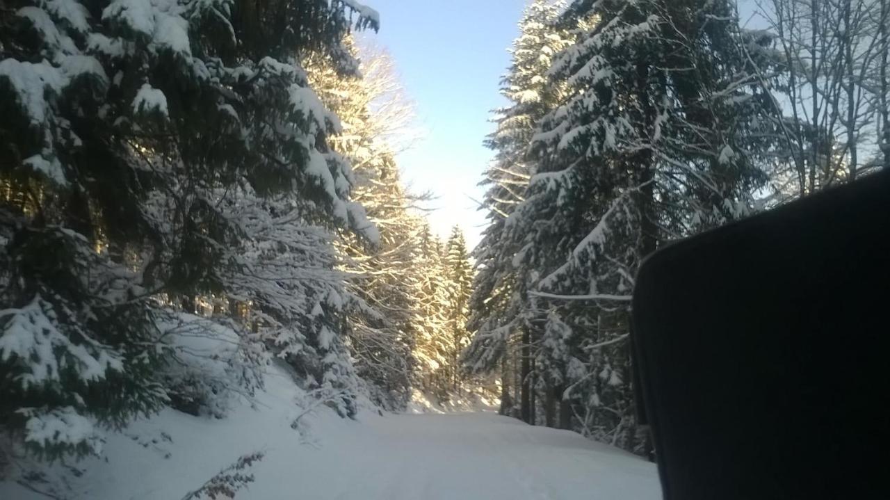Chata Goralska Wojtasowka Kamesznica Exterior foto